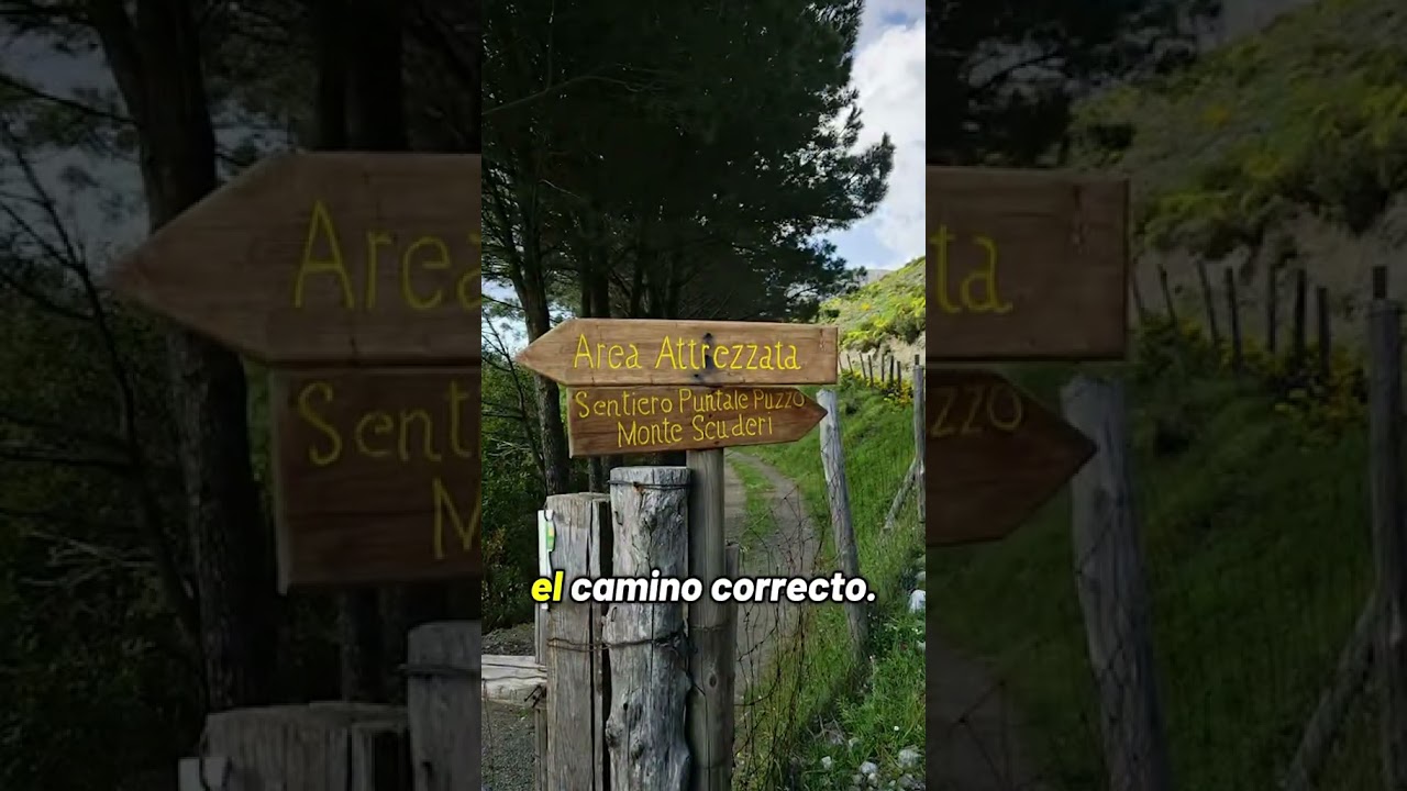 El d&iacute;a que camin&eacute; por 10 horas seguidas