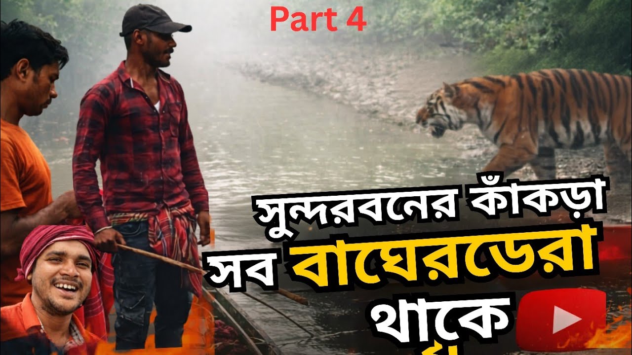 Sundarban Crab Catching | সুন্দরবনে কাঁকড়া ধরা (part 4)