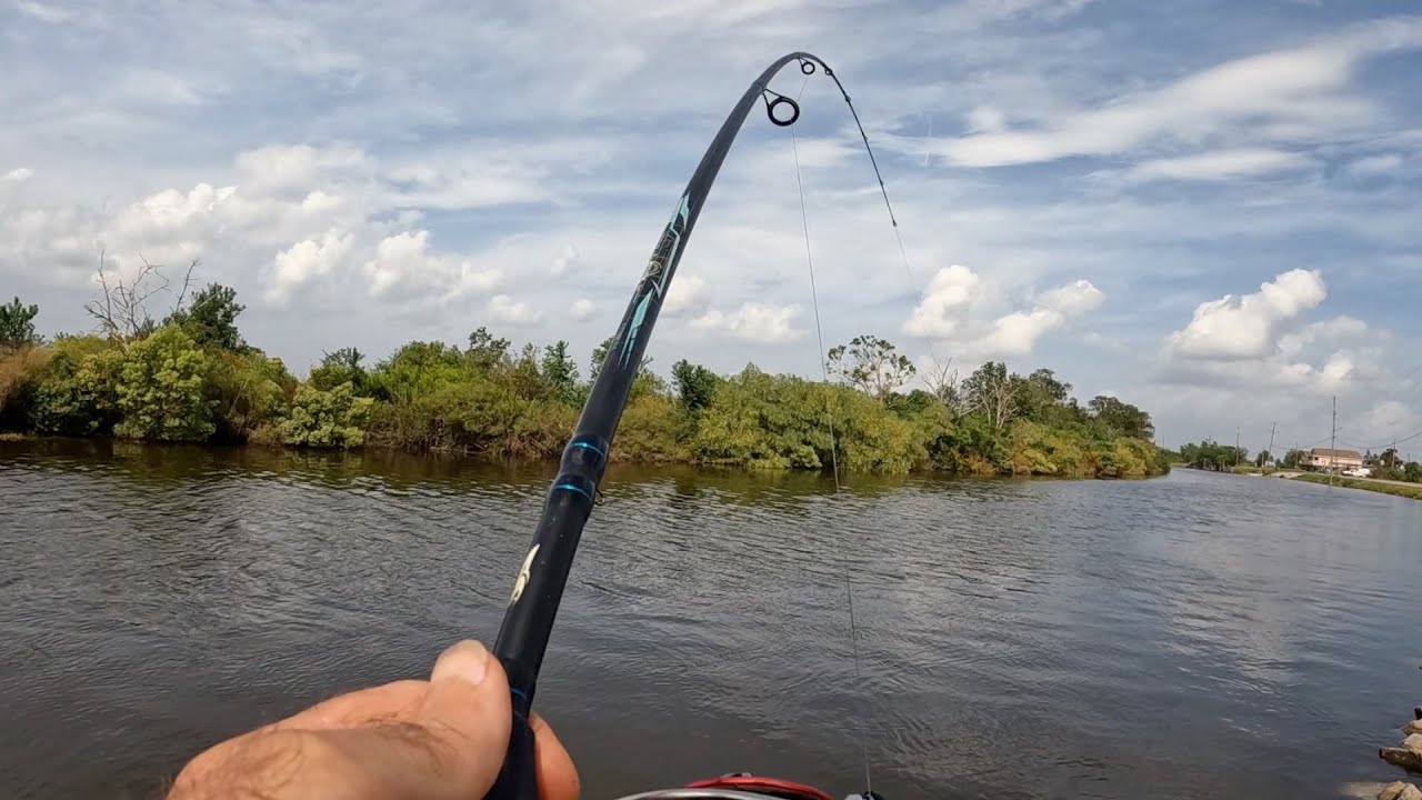 A Mixed Bag Fishing And Shrimping Adventure