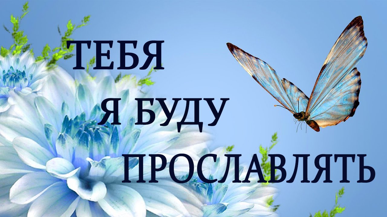 Тебя я буду прославлять №202