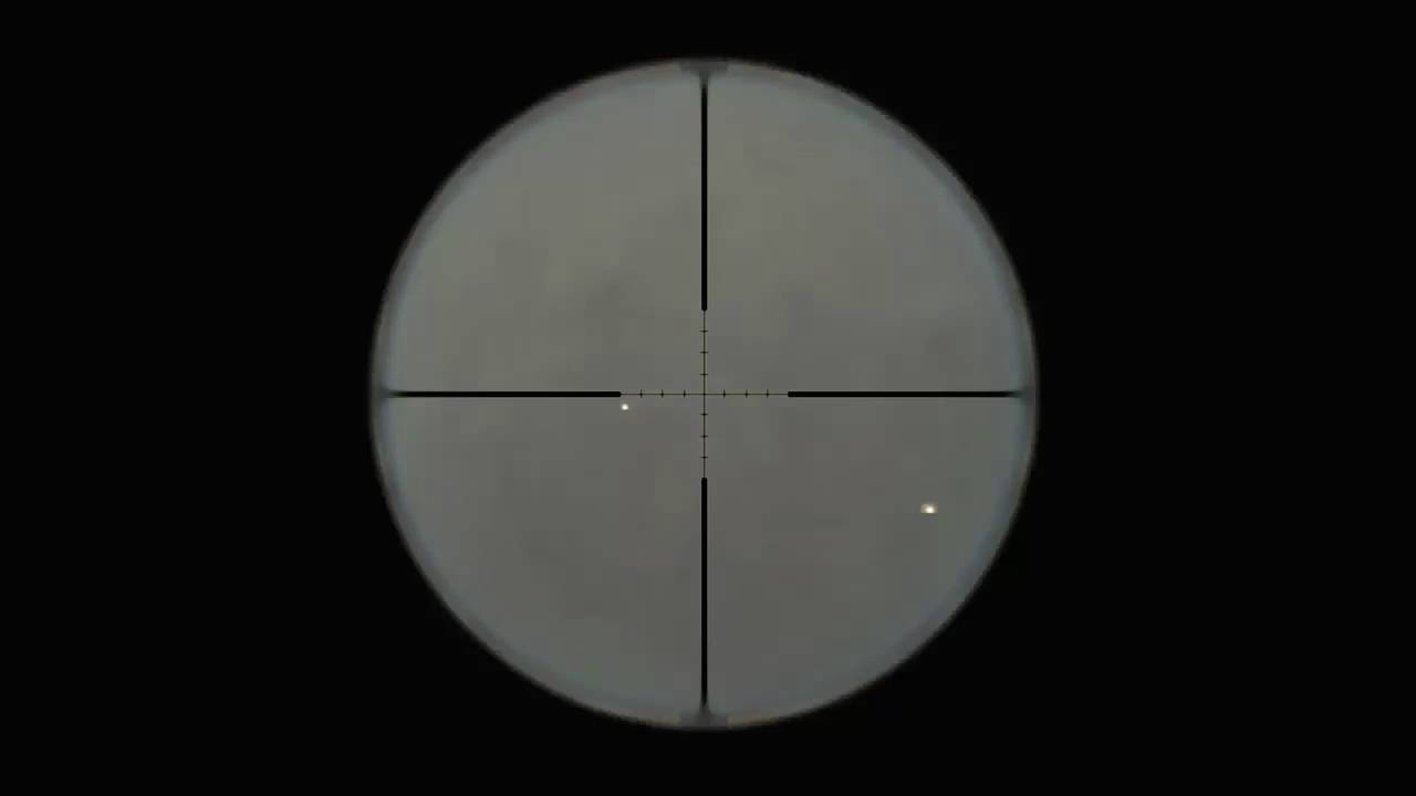 NEW MONTAGE!