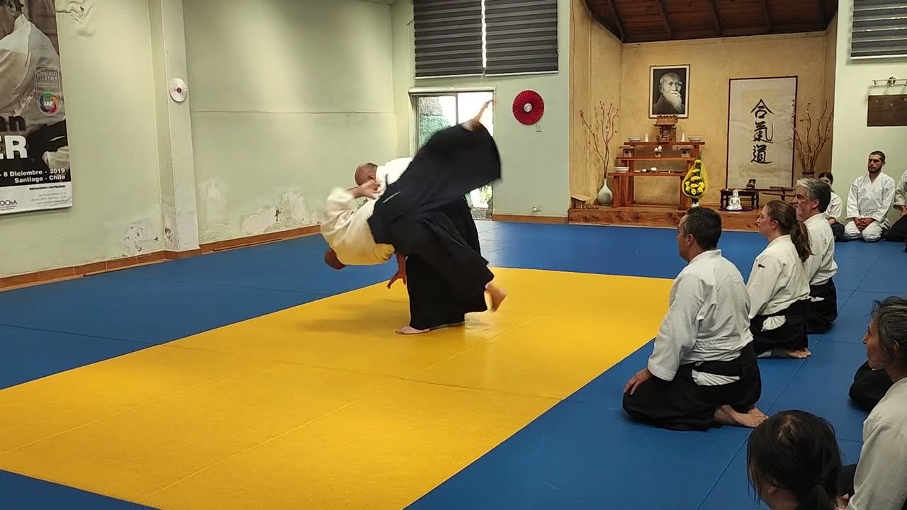 Aikido 45° Aniversario Aikikai Chile 2023