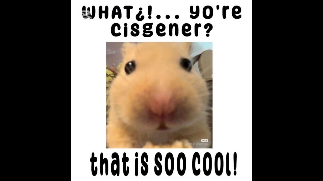 dm this to your favorite cis person! 