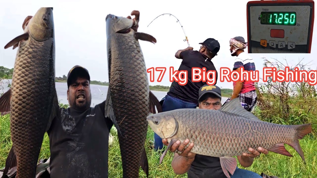 😱😱17 kg Big Rohu Fishing Techniques | Singal Hook Fishing Videos | Ahtesham khan Fishing
