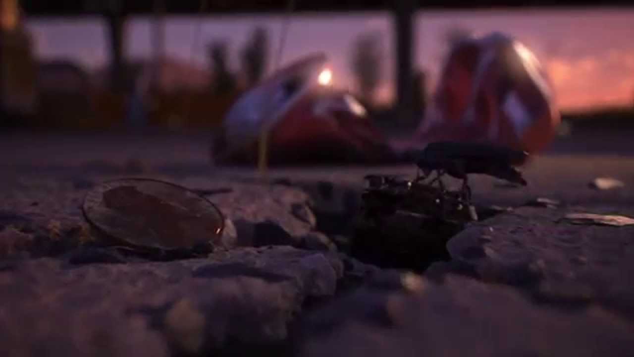 Tesla - Fireflies