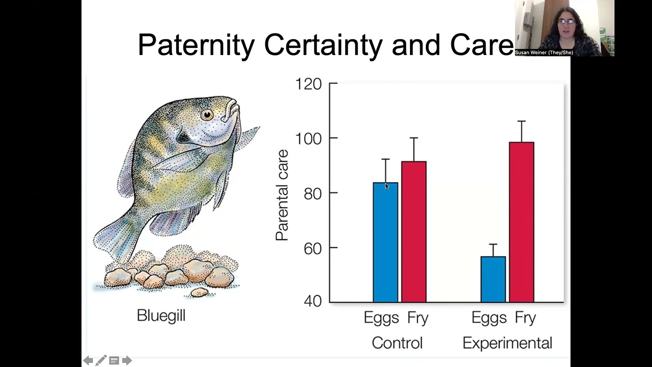 Animal Behavior: Parental Care