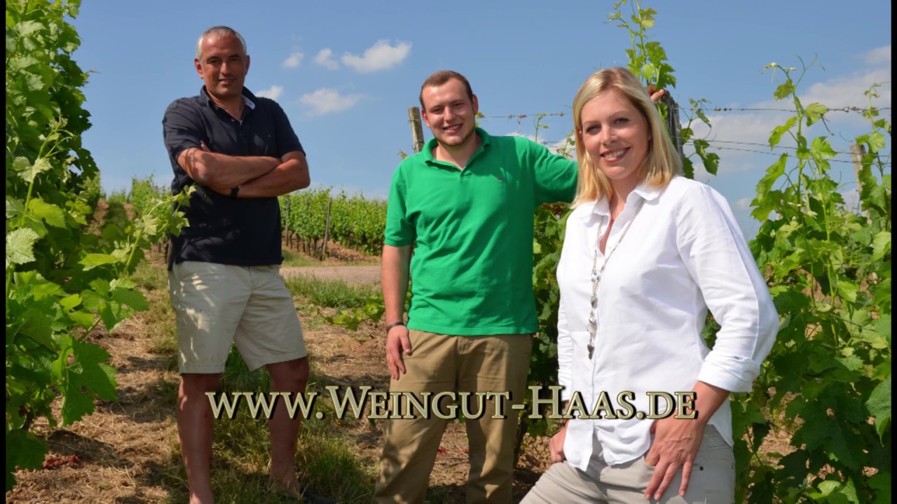 Weingut Haas - erleben Sie die Arbeiten eines Winzers w&auml;hrend eines Jahres