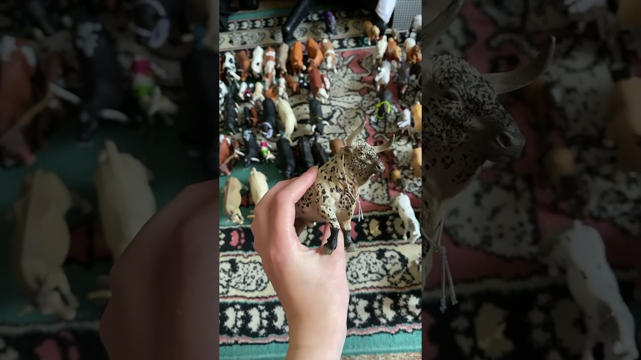 Schleich cow collector check #cow #schleich