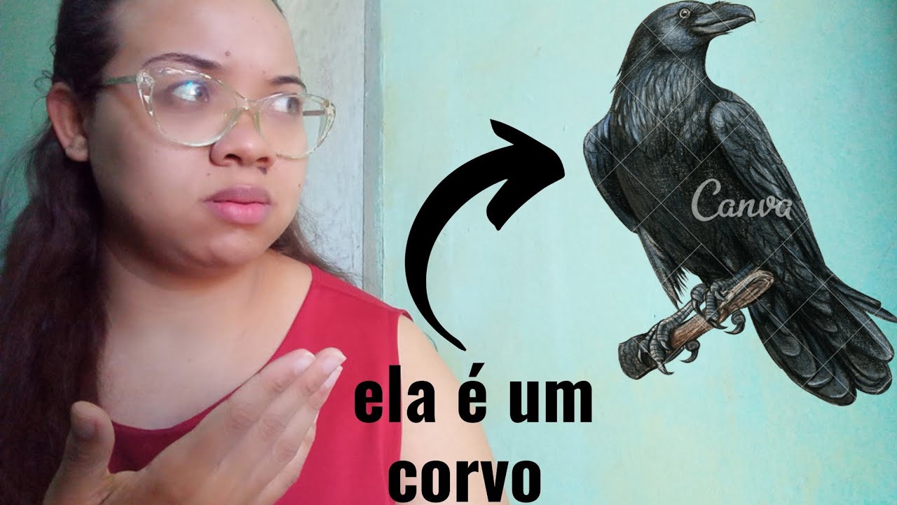 A VERDADEIRA LENDA DE MATINTA PEREIRA 👵🏽 #lendas #lendasobscuras #folclore