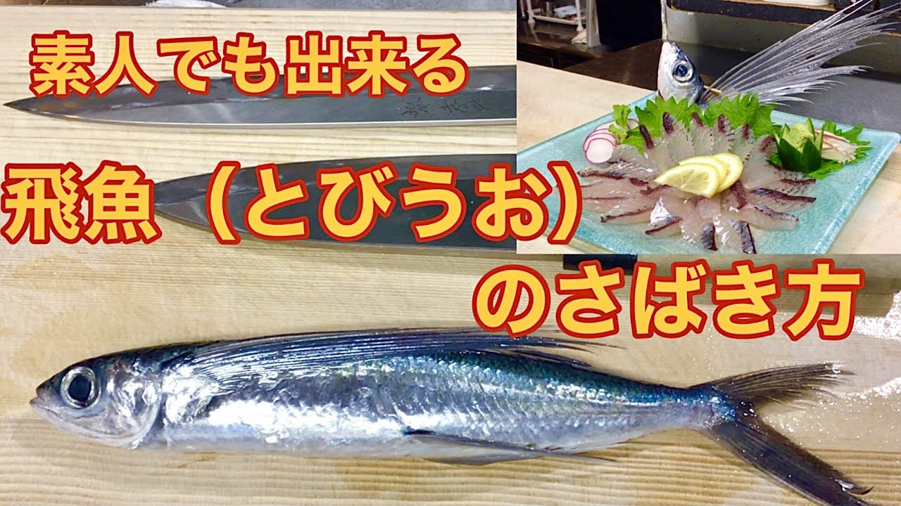 素人でも出来るトビウオのさばき方（刺身　姿造り）