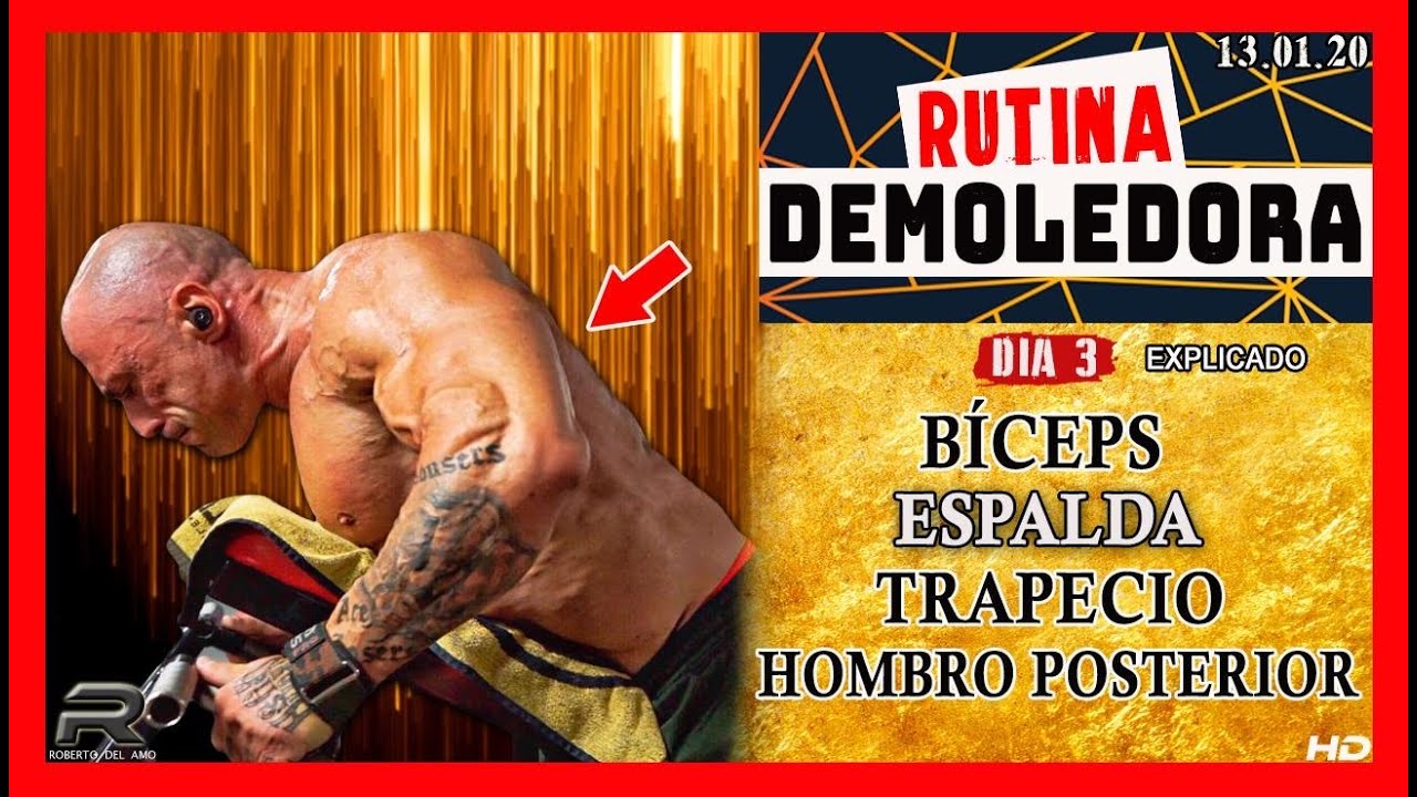 RUTINA DEMOLEDORA / dia 3 ( biceps, espalda, trapecio, hombro posterior)