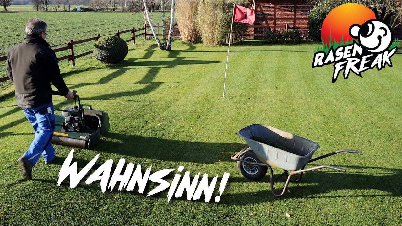 Rasen m&auml;hen im Dezember - verr&uuml;ckt oder nicht?