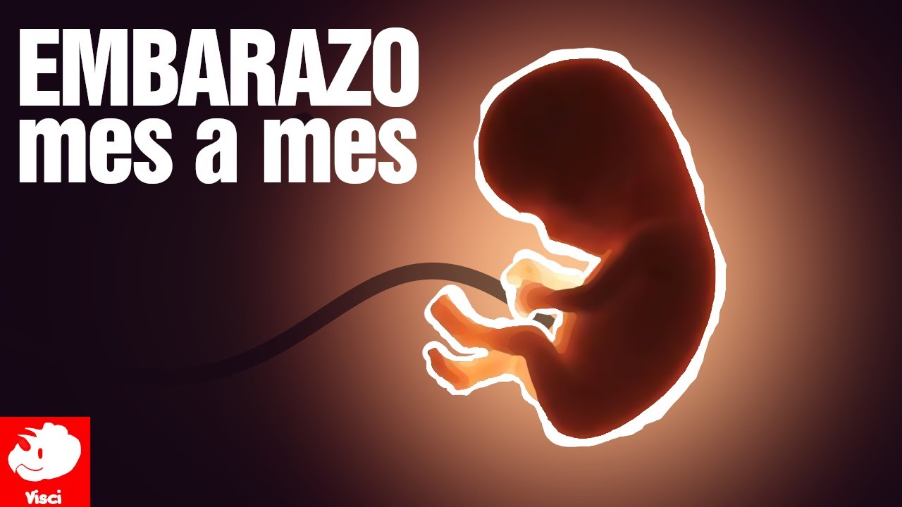 Fecundaci&oacute;n y Desarrollo embrionario