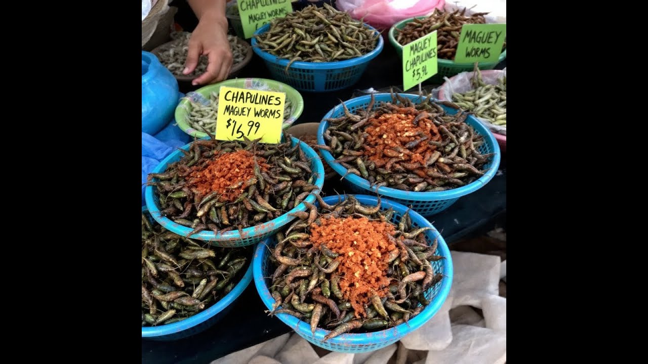 Exploring Mercado de la Merced &ndash; Mexico City&rsquo;s Largest Food Market