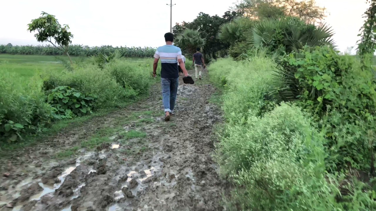 darusa hujripara