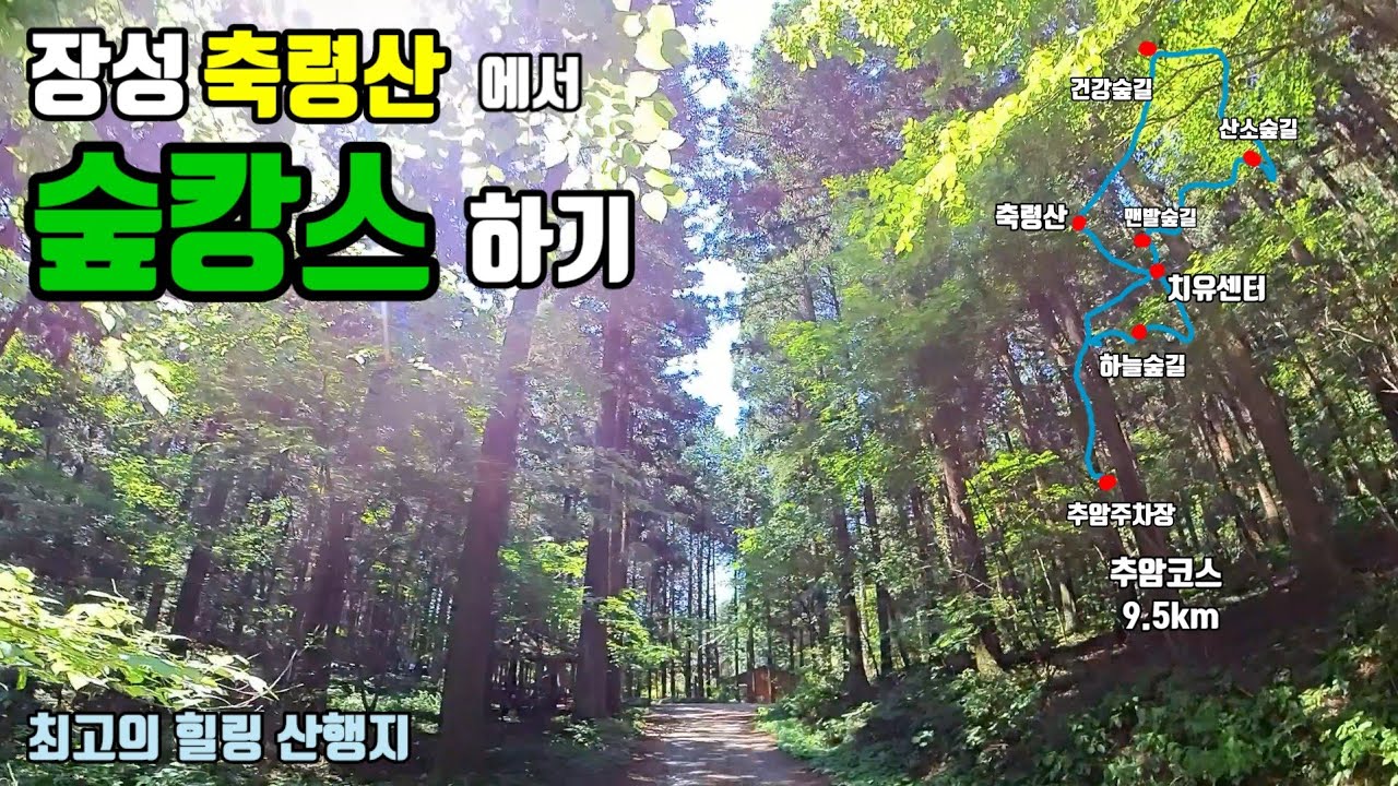 등산/트레킹/국내최대 편백숲에서 숲캉스하고왔어요/여름에는  숲으로/새로생긴 하늘숲길/숲이주는선물/장성축령산으로