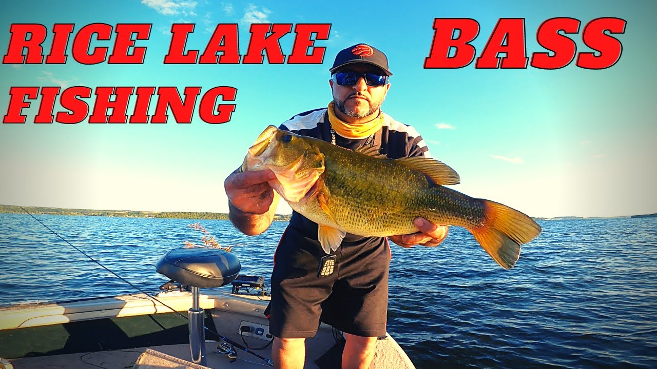 RICE LAKE BASS FISHING- LARGEMOUTH BASS
