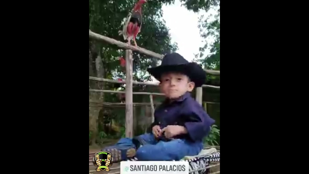 tema:Patas verdes, cola Blanca By Pedrito Fernández  cover :Santiago Palacios
