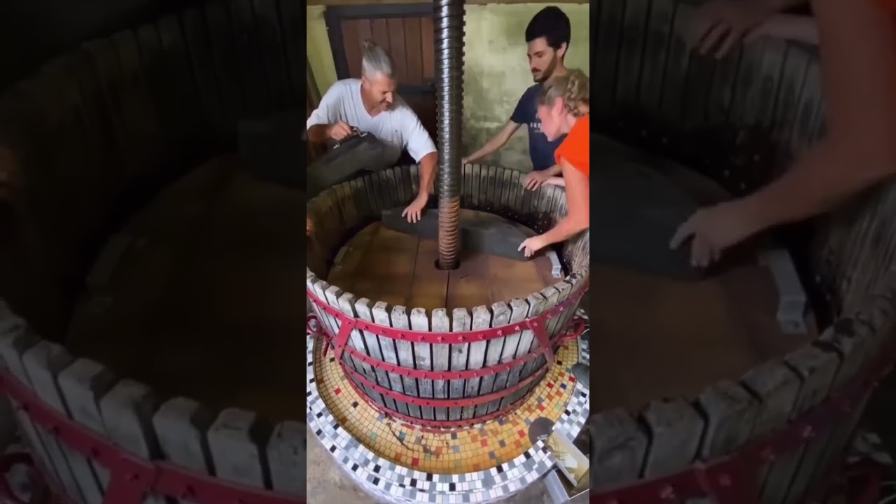 Wine Press | Winemaking and How Wines is Made! #shorts #fyp