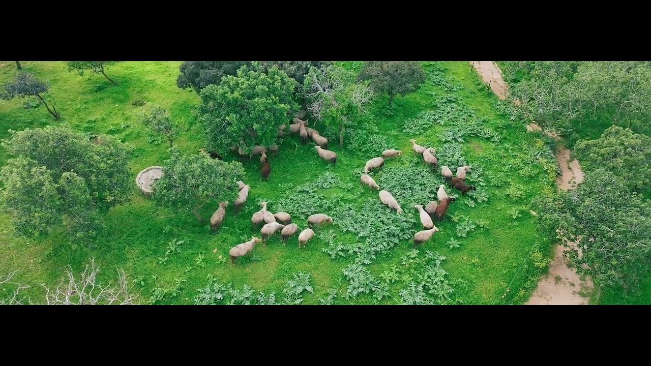 70 שנה לפתיחת גני רמת הנדיב ו- 90 שנה לציון פטירתו של הברון רוטשילד