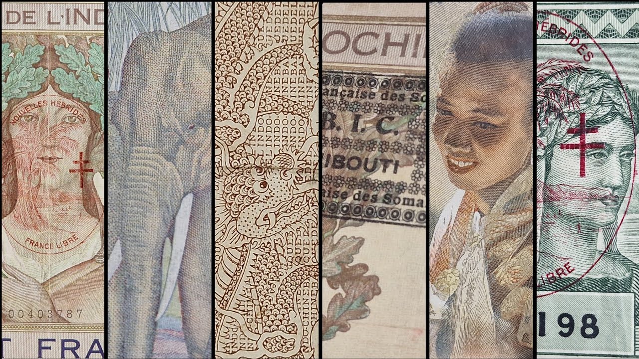 Banknote Collection 
