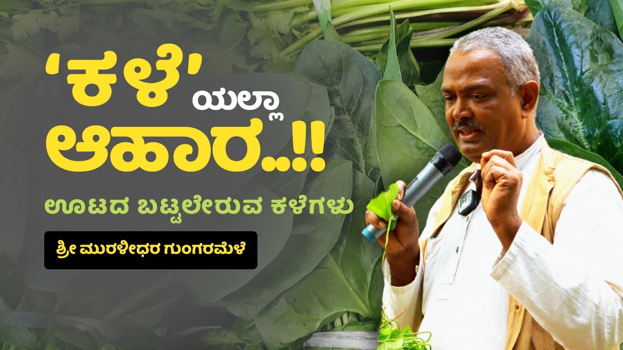 ಕಳೆ ಸಸ್ಯಗಳಲ್ಲ ಆಹಾರ।ತಟ್ಟೆಗೆ ಬರಲಿ ನಾವು ಮರೆತ ಸೊಪ್ಪುಗಳು।ಮುರಳಿಧರ ಗುಂಗುರುಮಳೆ।forgotten green leaves.