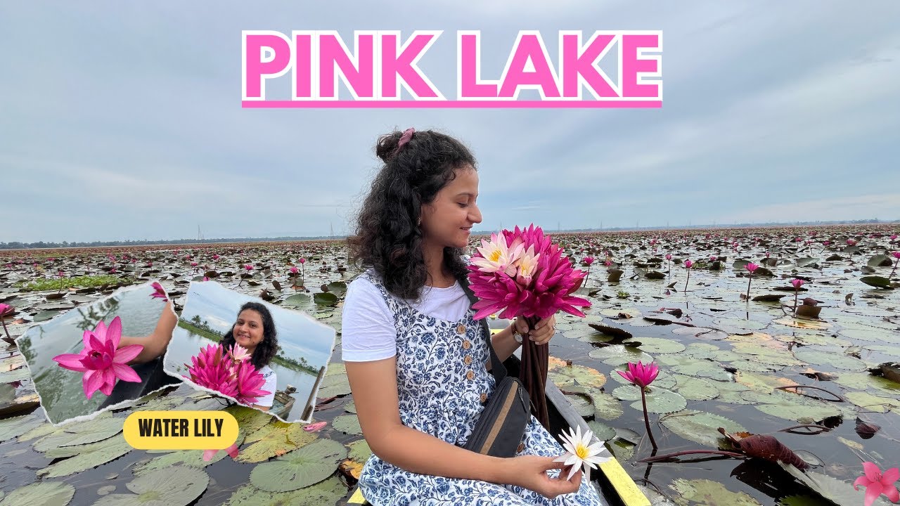 Boating in PINK LAKE of KERALA | Water Lilies in Malarikkal Kottayam | @therainbowgirlvlogs