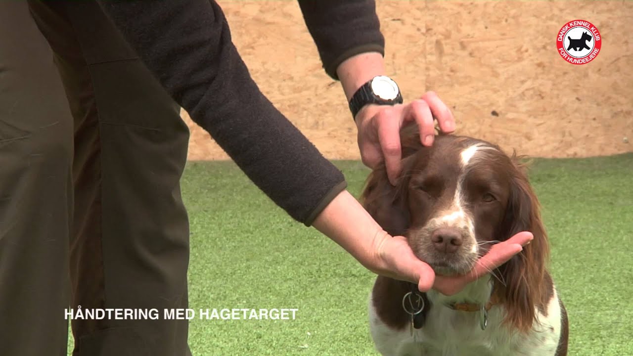 DKK 09 H&aring;ndtering