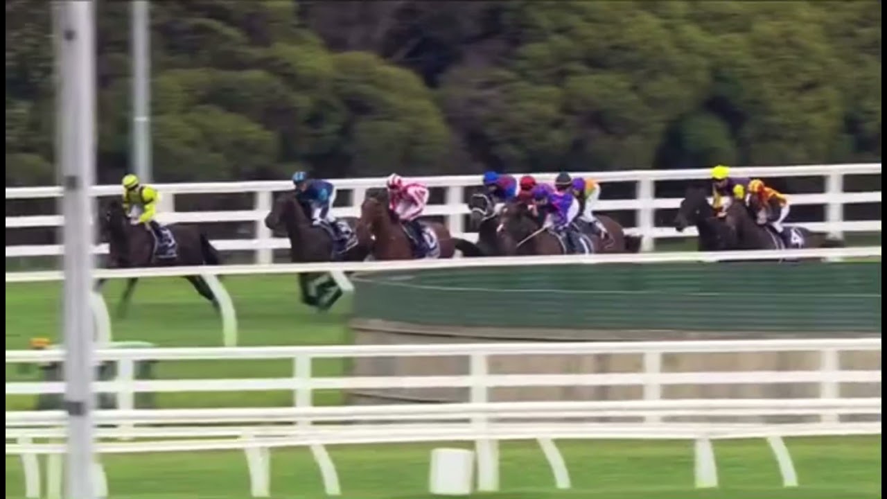 SUPERSTAR IS BORN?!?! Extreme Warrior bolts in the 2021 Blue Sapphire Stakes (G3)