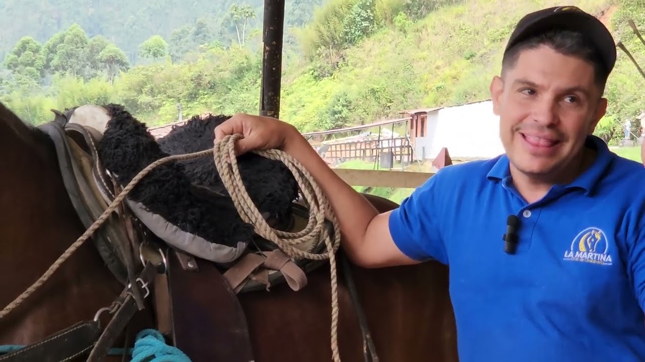 Flexiones en el cuello del caballo. Llamado también quebrar