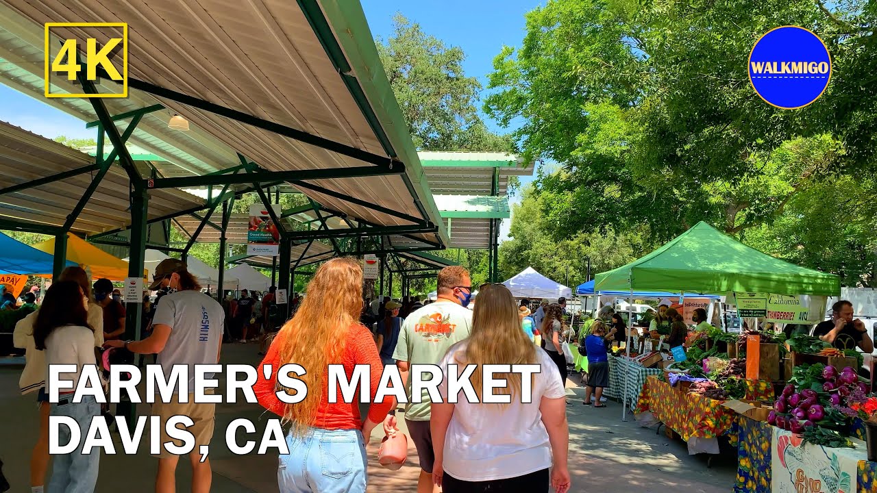 Saturday Morning in Davis | Binaural Audio 🎧  | Farmer's Market | California | 4K - Walking Tour