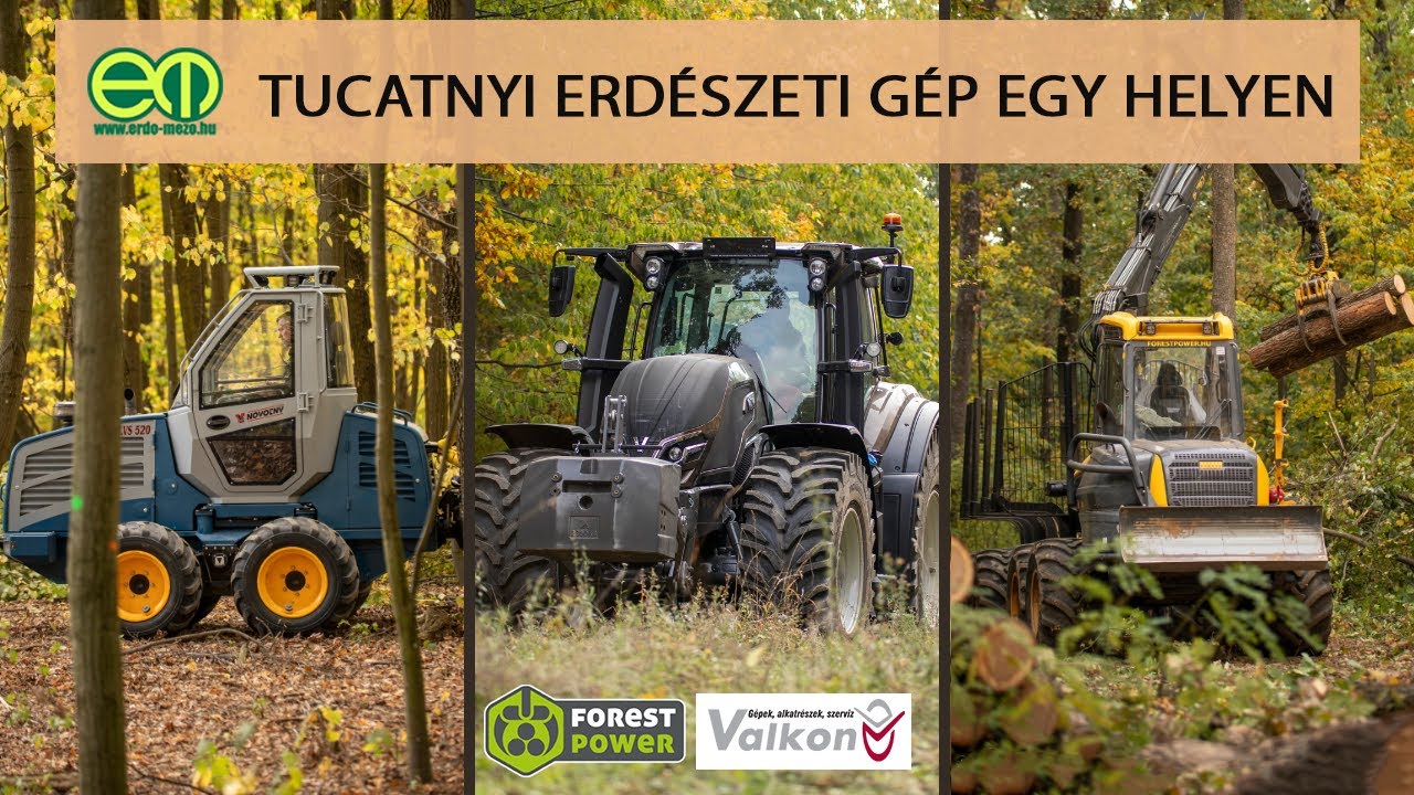 Fától az aprítékig - Erdőgazdálkodás profi eszközökkel a géptámogatás küszöbén