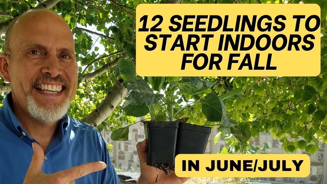 12 seedlings you should start indoors in June/July to plant in the fall