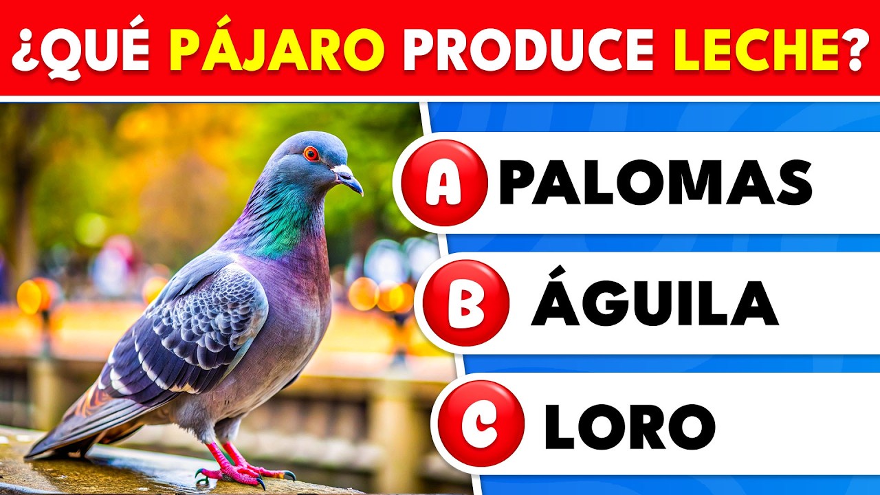 ¿Qué tanto sabes sobre EL MUNDO? 🌍🧠 ¡50 preguntas para poner a prueba tu cerebro! | Knowlio - ES