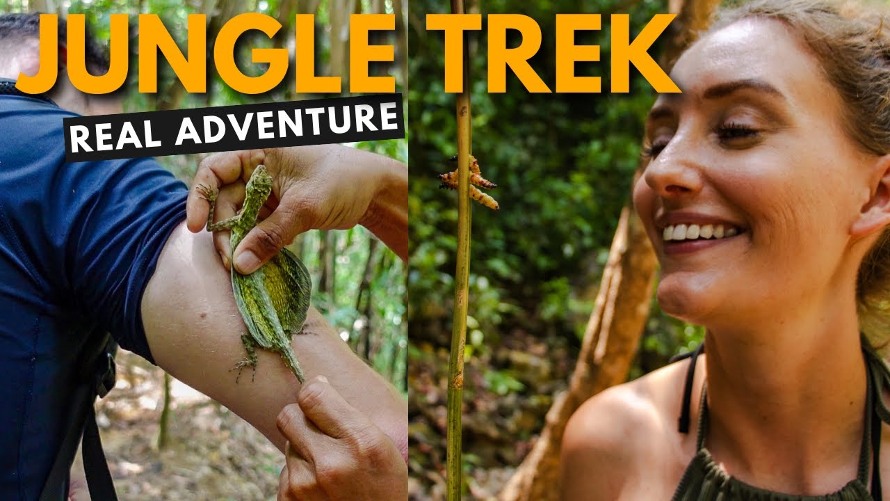 We’re in the JUNGLE in Thailand! Spotting Monkeys, Lizards & more in Khao Sok National Park 🇹🇭