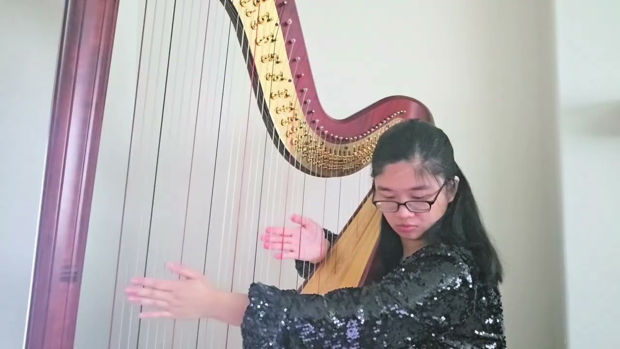 M. Castelnuovo-Tedesco Harp Concertino Mvt 3 (solo version)