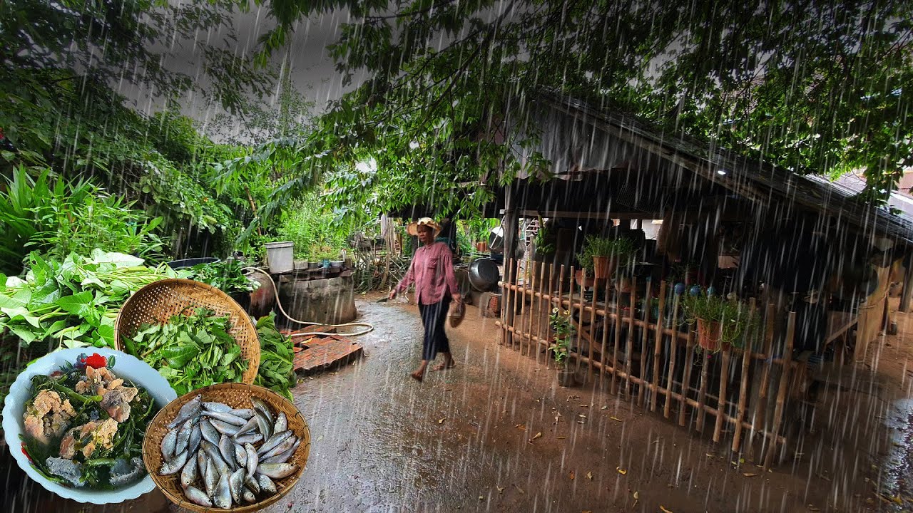 Rainy day in village | harvesting and cooking | living in the countryside