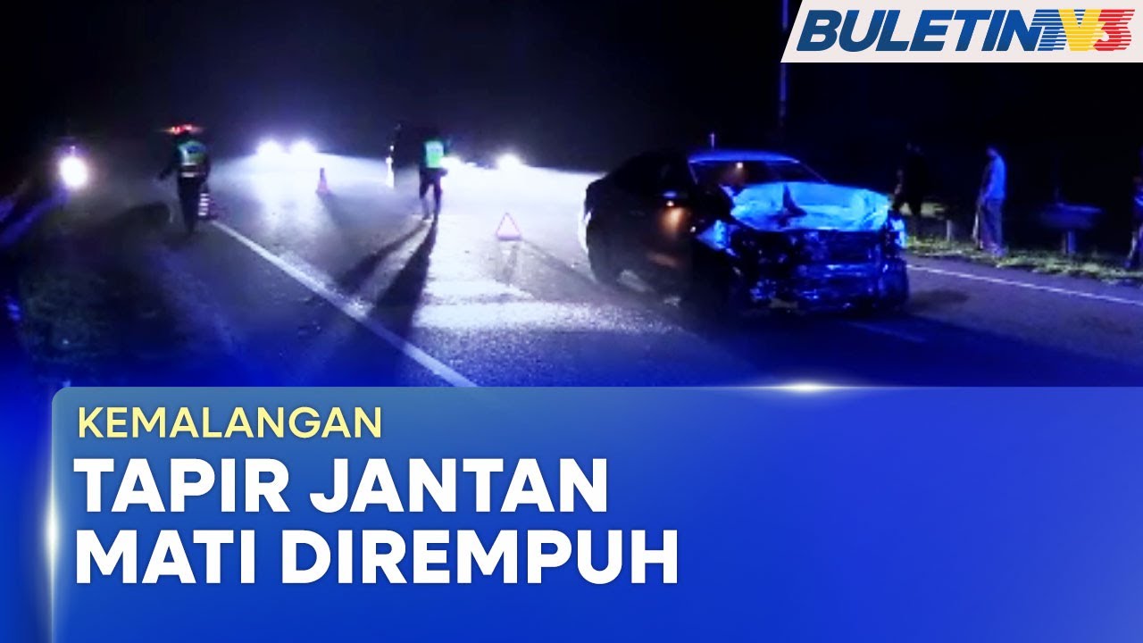 KEMALANGAN | Tapir Jantan 300 Kilogram Mati Dirempuh Kereta