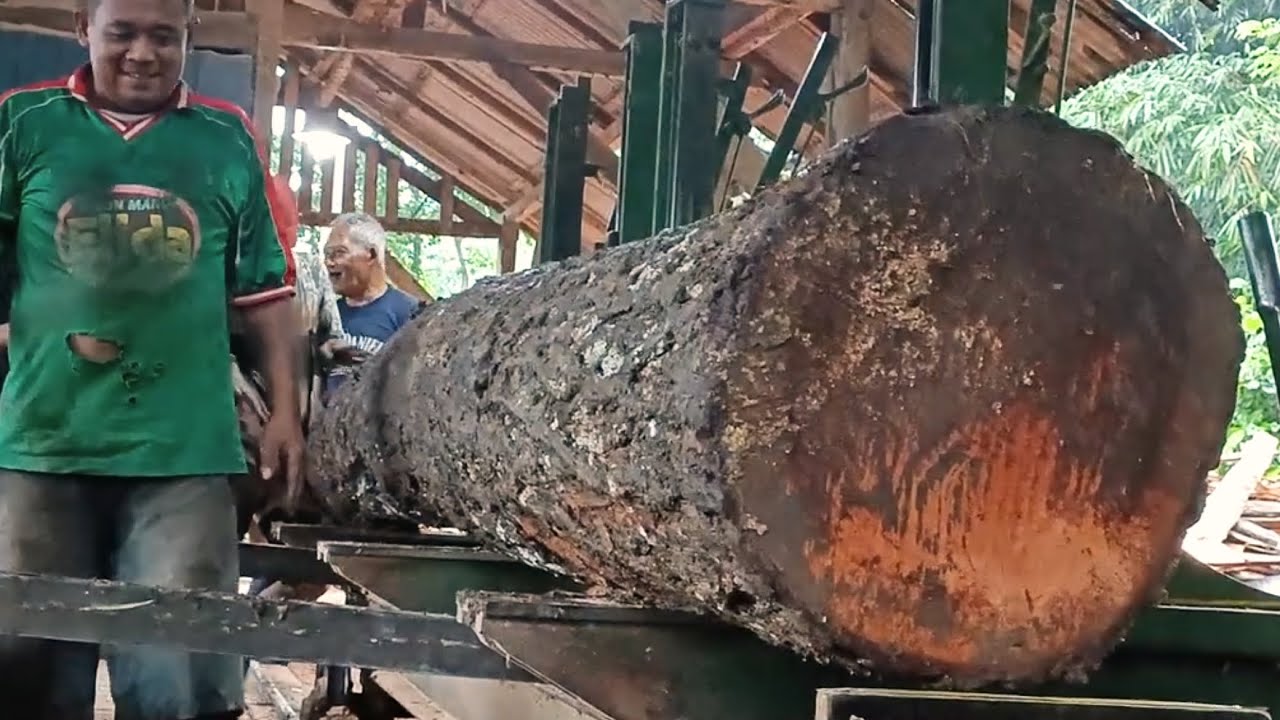 No one believes the extraordinary process of turning these perfect logs into beautiful slabs