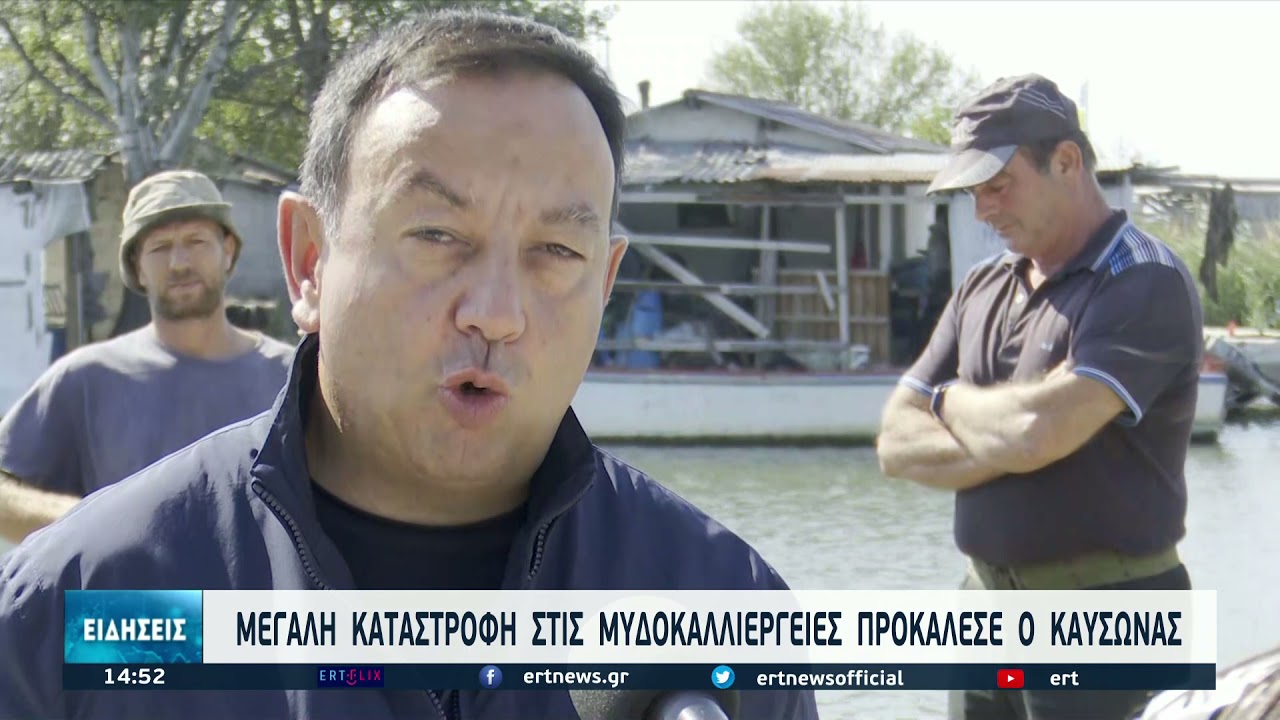 Καταστροφή στις μυδοκαλλιέργειες του Θερμαϊκού | 14/9/2021 | ΕΡΤ