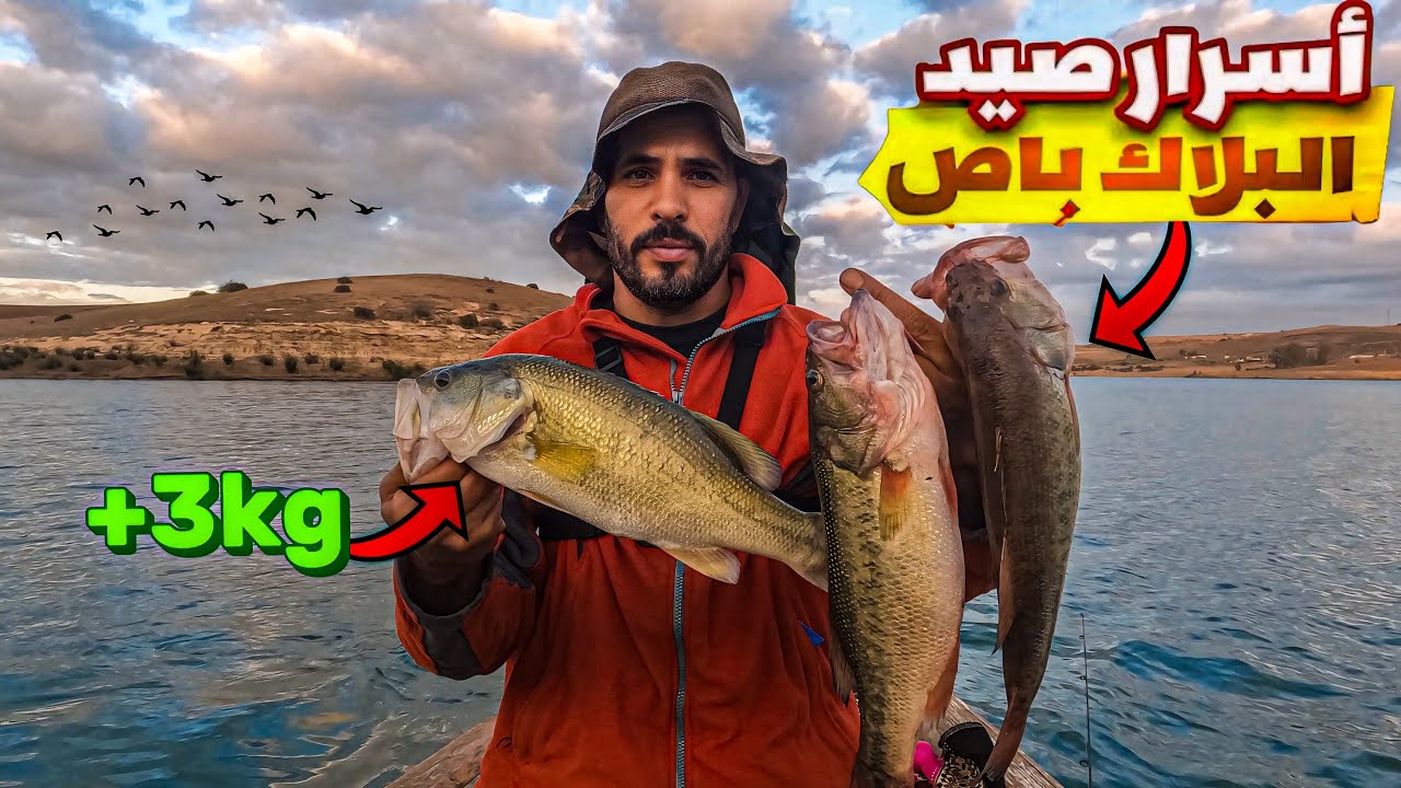 العيش الحر : صيد أكبر سمك البلاك باص 🎣مع رايس محمد 😱فوق الماء🚣في أجمل بحيرة 😍🔥