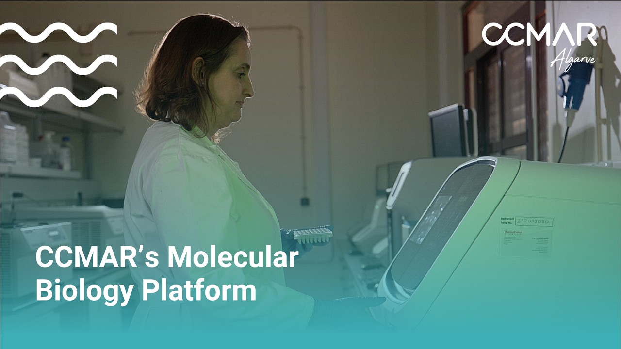 CCMAR&rsquo;s Molecular Biology Platform