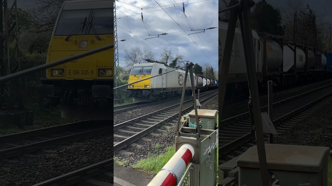 ECR 186 305-9 Euro Cargo Rail mit Containerzug in Bonn #br186