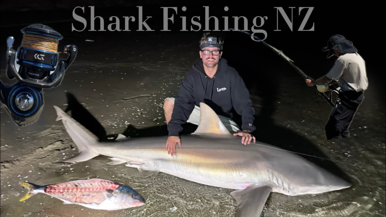 Fishing For Sharks and Kingfish - Golden Bay NZ