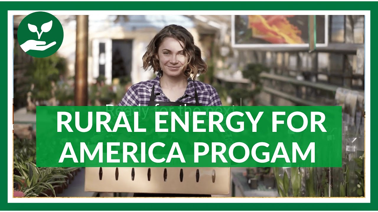What is the Rural Energy for America Program (REAP)?