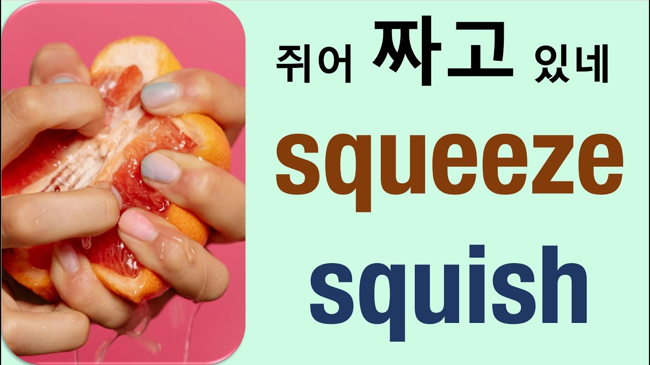 Q5 English 어휘 Lesson 2436 (쥐어짜다, 짜내다, 으깨다, 짓누르다 – squeeze vs squish)