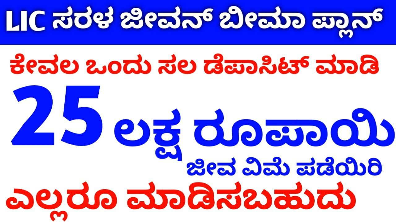 LIC Saral Jeevan Bima Plan details // Saral Jeevan Bima policy // Term insurance policy // RG TV