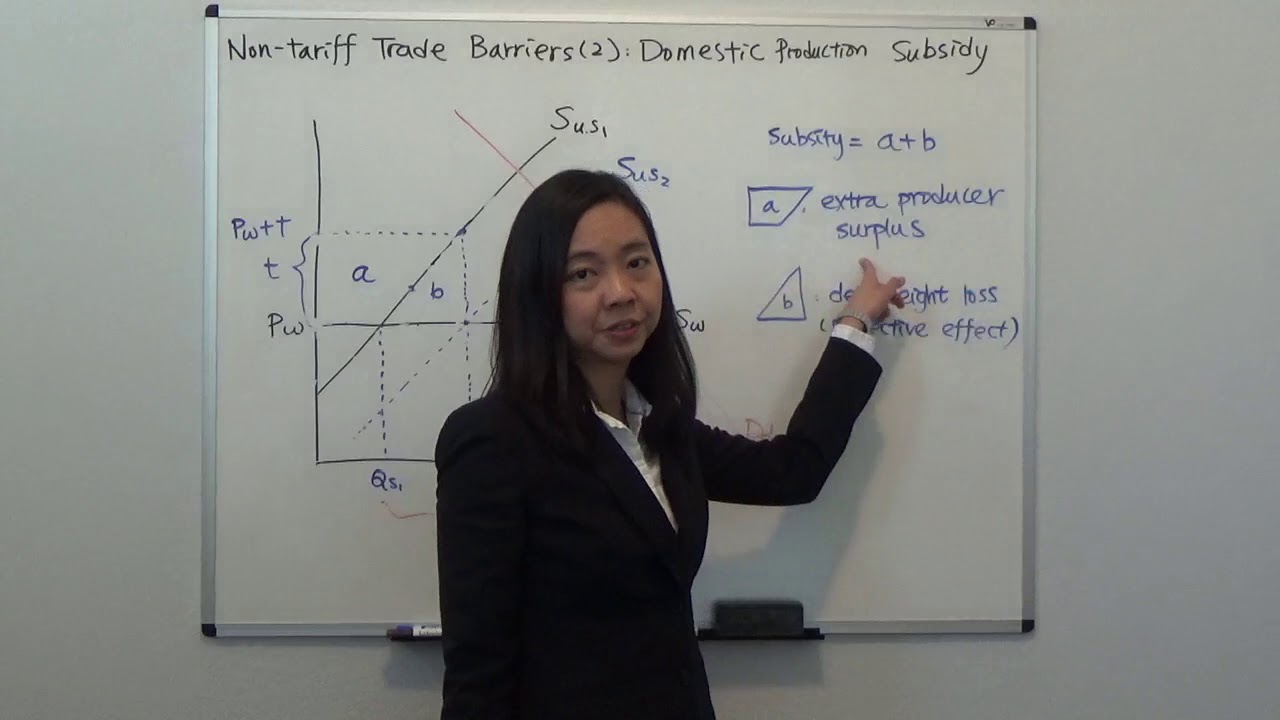Domestic Production Subsidy