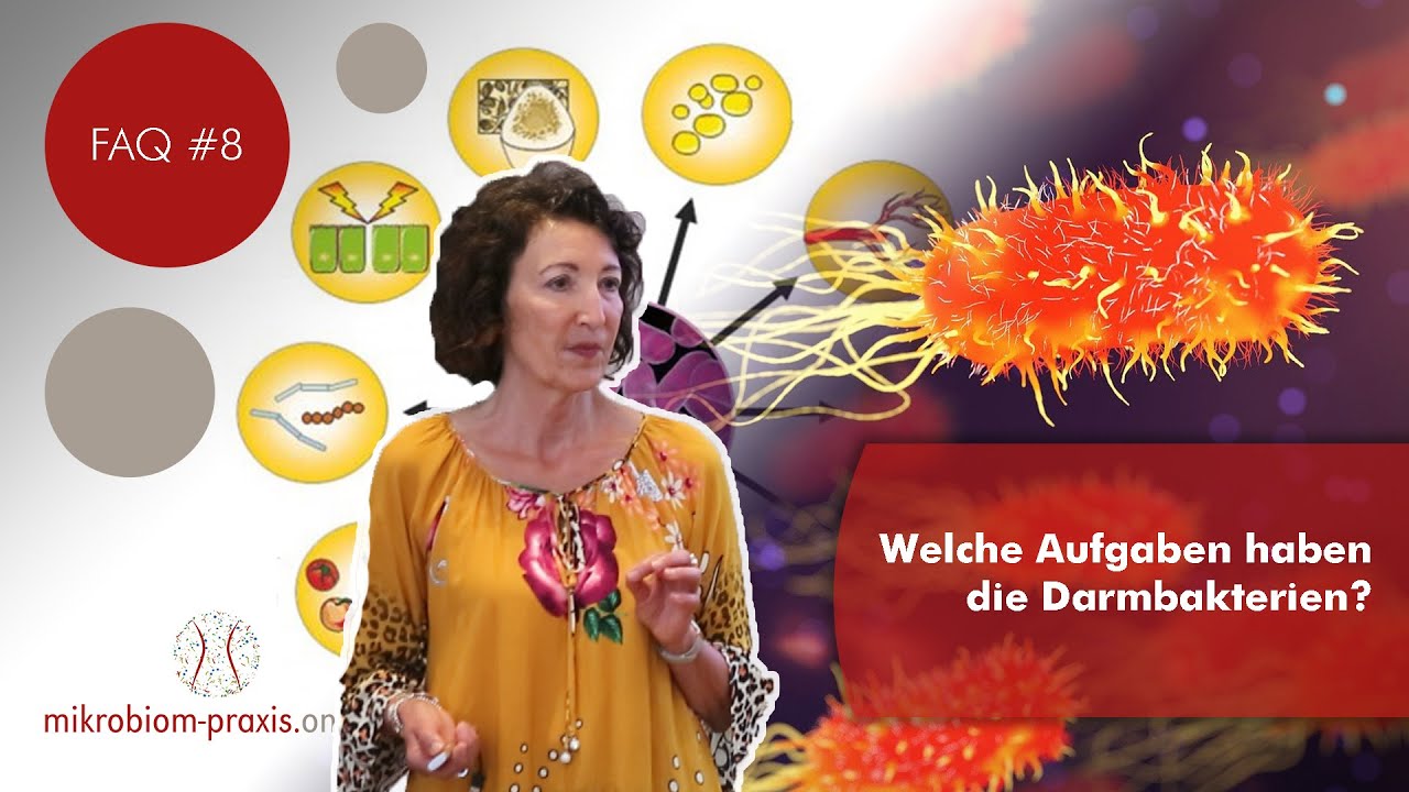 Welche Aufgabe haben Darmbakterien? FAQ #8 | Mikrobiom Praxis