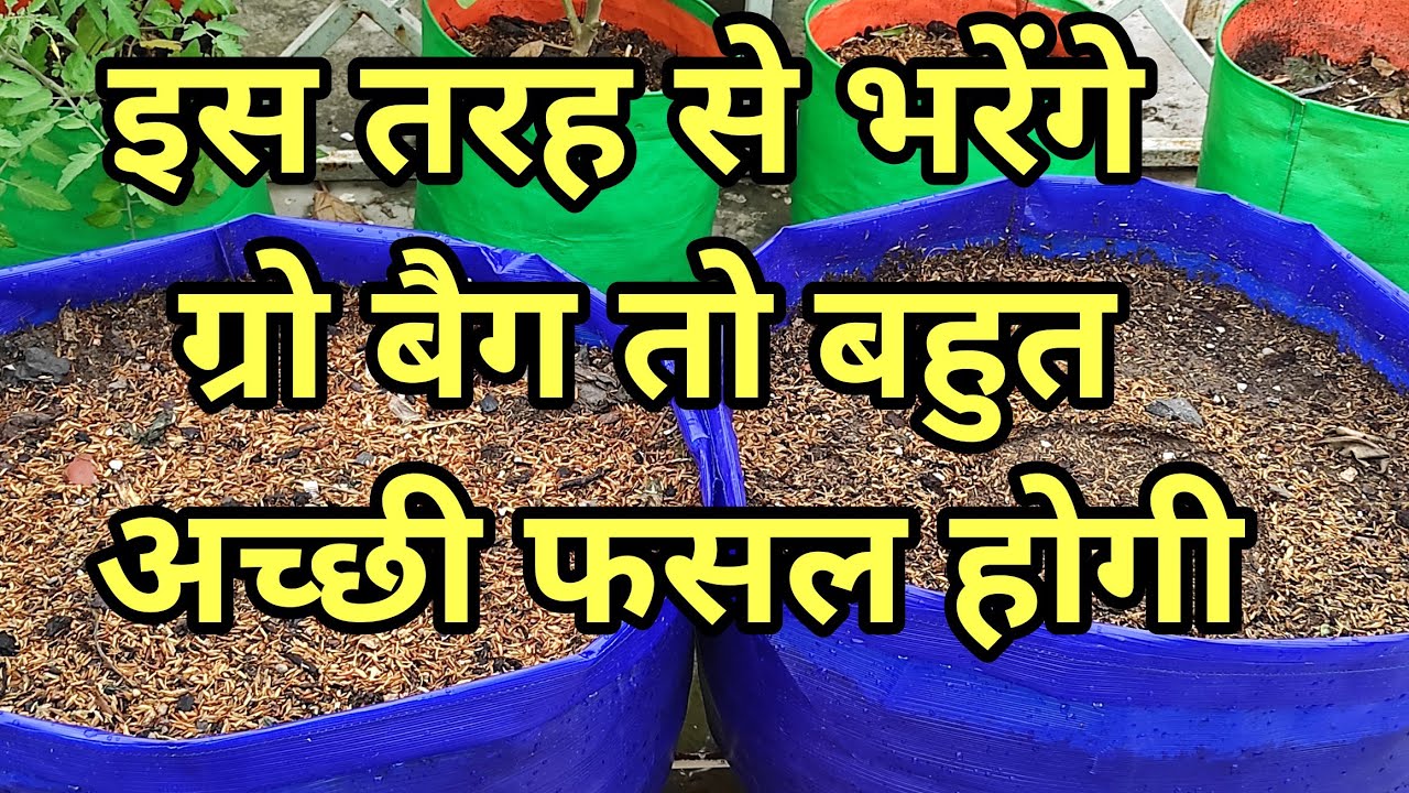 how we fill grow bag in right way .ग्रो बैग भरने का आसान तरीका
